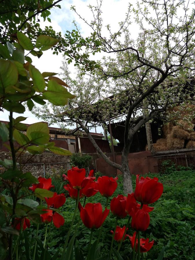 Aida Bed&Breakfast Tatev Exterior foto